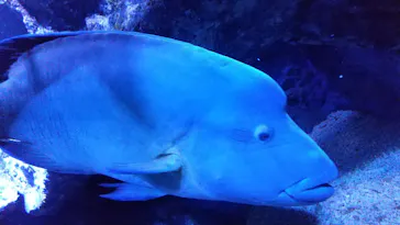 すみだ水族館に投稿された画像（2020/8/22）