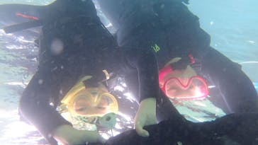 ダイビングショップ Sea Free（シーフリー）に投稿された画像（2020/8/22）