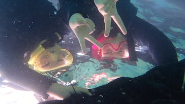 ダイビングショップ Sea Free（シーフリー）に投稿された画像（2020/8/22）