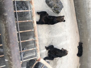 阿蘇カドリー・ドミニオンに投稿された画像（2020/8/22）