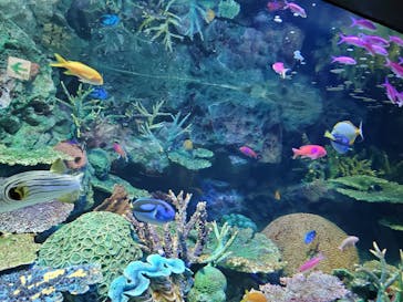 サンシャイン水族館に投稿された画像（2020/8/22）