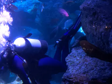 すみだ水族館に投稿された画像（2020/8/22）