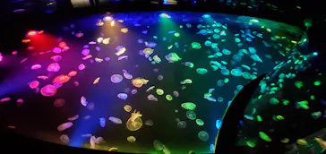 すみだ水族館に投稿された画像（2020/8/22）