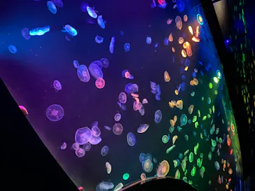 すみだ水族館に投稿された画像（2020/8/22）