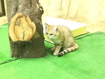 那須どうぶつ王国に投稿された画像（2020/8/22）