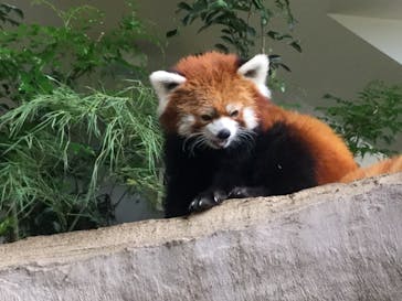 那須どうぶつ王国に投稿された画像（2020/8/22）