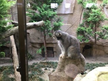 那須どうぶつ王国に投稿された画像（2020/8/22）