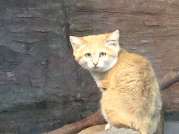 那須どうぶつ王国に投稿された画像（2020/8/22）