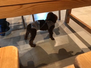 わんダフルネイチャーヴィレッジに投稿された画像（2020/8/22）