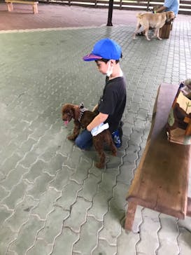 わんダフルネイチャーヴィレッジに投稿された画像（2020/8/22）