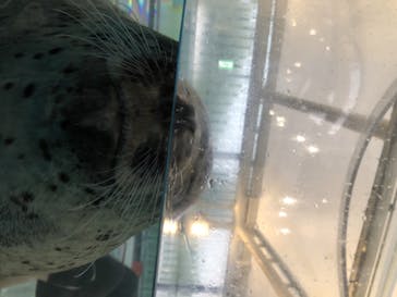 京都水族館に投稿された画像（2020/8/22）