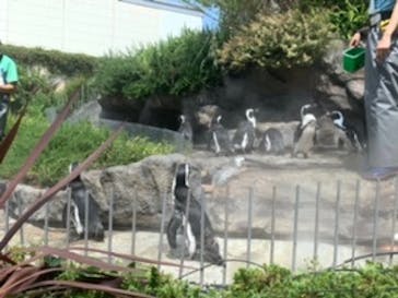 サンシャイン水族館に投稿された画像（2020/8/22）