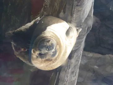 仙台うみの杜水族館に投稿された画像（2020/8/22）