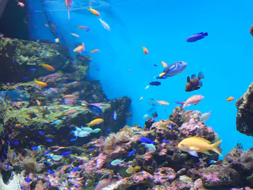 仙台うみの杜水族館に投稿された画像（2020/8/22）