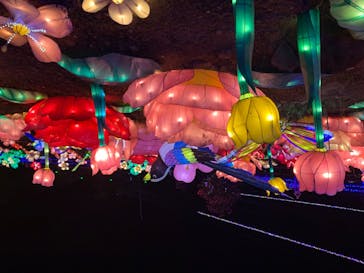 伊豆ぐらんぱる公園に投稿された画像（2020/8/22）