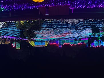 伊豆ぐらんぱる公園に投稿された画像（2020/8/22）