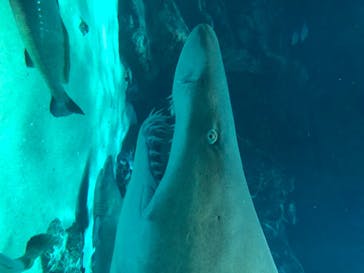 マリンワールド海の中道に投稿された画像（2020/8/22）