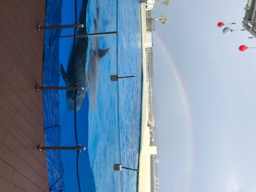 マリンワールド海の中道に投稿された画像（2020/8/22）