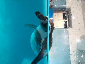 マリンワールド海の中道に投稿された画像（2020/8/22）