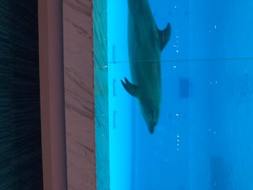 マリンワールド海の中道に投稿された画像（2020/8/22）