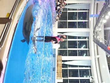 アクアワールド茨城県大洗水族館に投稿された画像（2020/8/22）