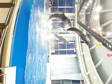 アクアワールド茨城県大洗水族館に投稿された画像（2020/8/22）