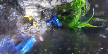仙台うみの杜水族館に投稿された画像（2020/8/22）