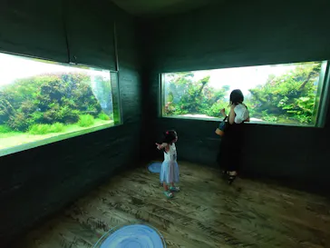すみだ水族館に投稿された画像（2020/8/22）