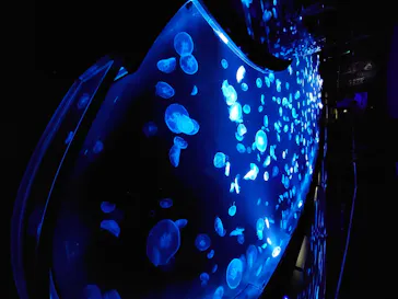 すみだ水族館に投稿された画像（2020/8/22）