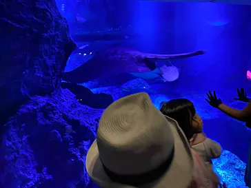 すみだ水族館に投稿された画像（2020/8/22）