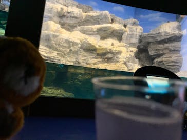 アクアワールド茨城県大洗水族館に投稿された画像（2020/8/22）