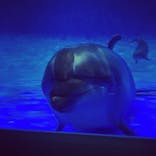 アクアワールド茨城県大洗水族館に投稿された画像（2020/8/22）