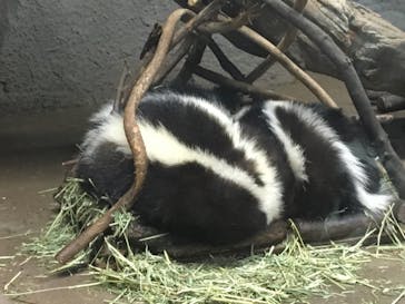 神戸どうぶつ王国に投稿された画像（2020/8/22）