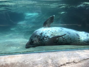 神戸どうぶつ王国に投稿された画像（2020/8/22）