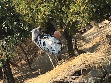 神戸どうぶつ王国に投稿された画像（2020/8/22）