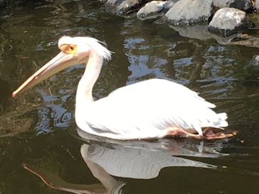 神戸どうぶつ王国に投稿された画像（2020/8/22）