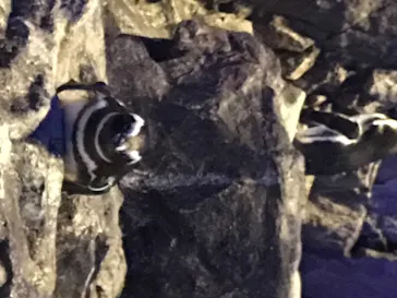 すみだ水族館に投稿された画像（2020/8/22）