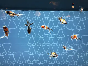 すみだ水族館に投稿された画像（2020/8/22）