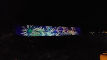 二条城×ネイキッド 二条城夏まつり2021に投稿された画像（2020/8/22）