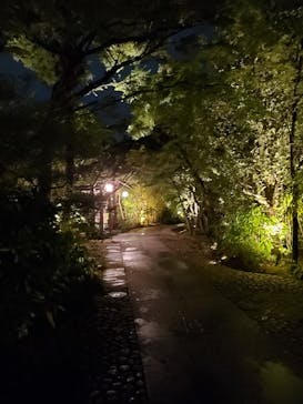 二条城×ネイキッド 二条城夏まつり2021に投稿された画像（2020/8/22）