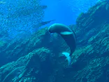 仙台うみの杜水族館に投稿された画像（2020/8/22）