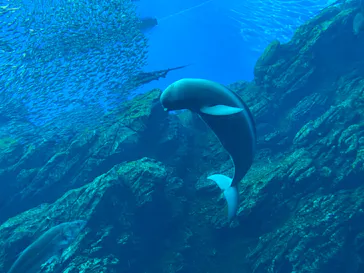 仙台うみの杜水族館に投稿された画像（2020/8/22）