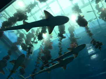 仙台うみの杜水族館に投稿された画像（2020/8/22）