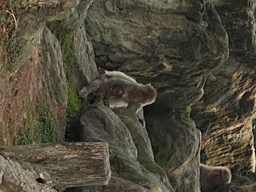 群馬サファリパークに投稿された画像（2020/8/22）