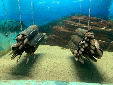 株式会社Gに投稿された画像（2020/8/22）