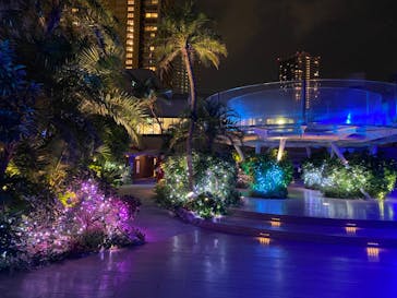 サンシャイン水族館に投稿された画像（2020/8/22）