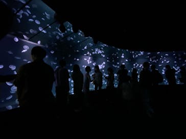 サンシャイン水族館に投稿された画像（2020/8/22）