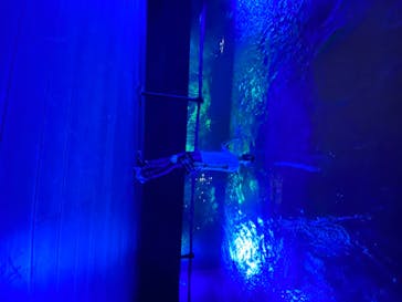 サンシャイン水族館に投稿された画像（2020/8/22）