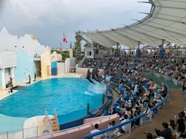 株式会社Gに投稿された画像（2020/8/23）