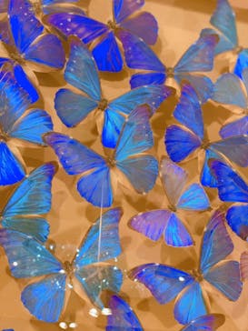 としまえんに投稿された画像（2020/8/23）